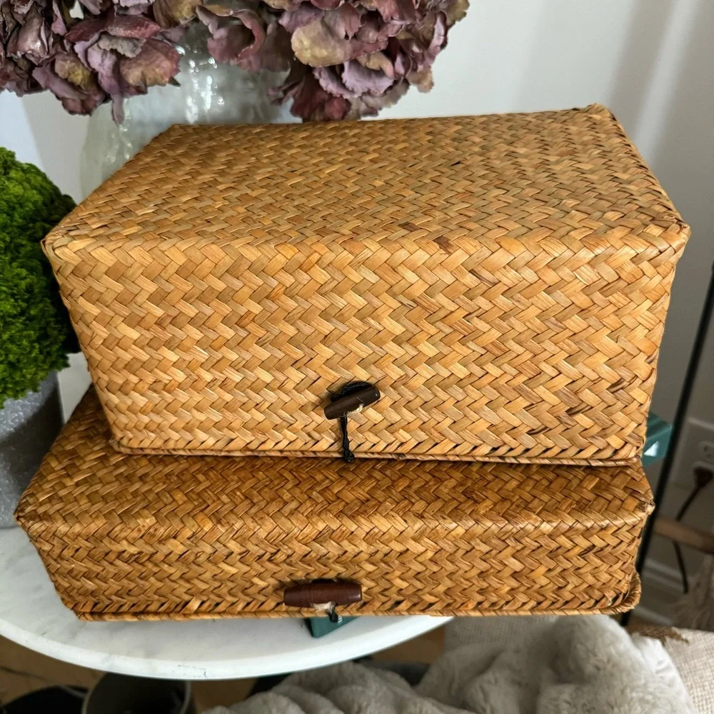 Set of 2 Flat Seagrass Storage Bins with Lid Woven Basket Home Office Organizer